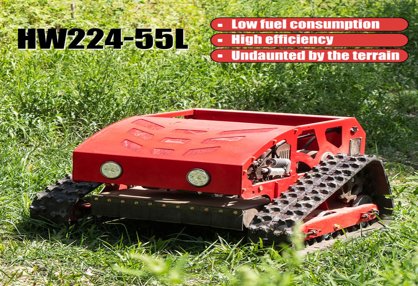 Watch 224-55LAWN MOWER on Amazon Live